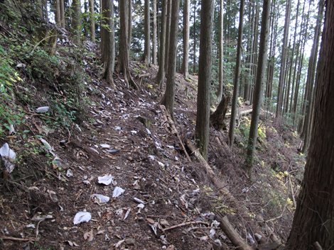20151116hike (196)